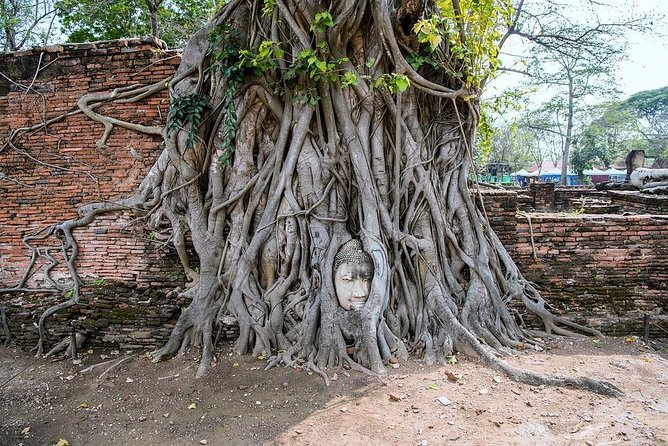 Historical City of Ayutthaya - Unesco Full Day Tour From Bangkok - Wat Chaiwatthanaram at the best-looking finish