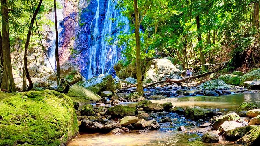 ISLAND TOUR ECO AROUND KOH SAMUI HALF DAY RARE SIGHTSEEING - Hin Ta and Hin Yai, Samui’s famous rock joke