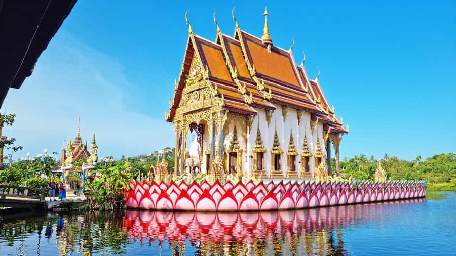 ISLAND TOUR ECO AROUND KOH SAMUI HALF DAY RARE SIGHTSEEING - Na Muang Waterfall 1, swimming, and an uncomfortable sight