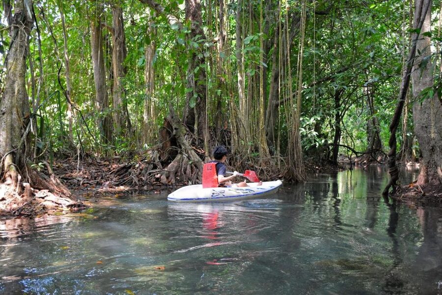 Kayaking and swiming klongrood - Paddling through trees, roots, and quiet water