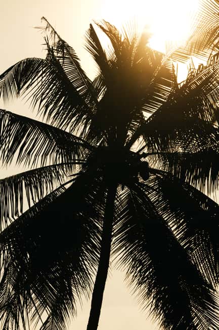 Khao Lak: 1.5-Hour Small Group Surfing Experience - Booking advice and practical details
