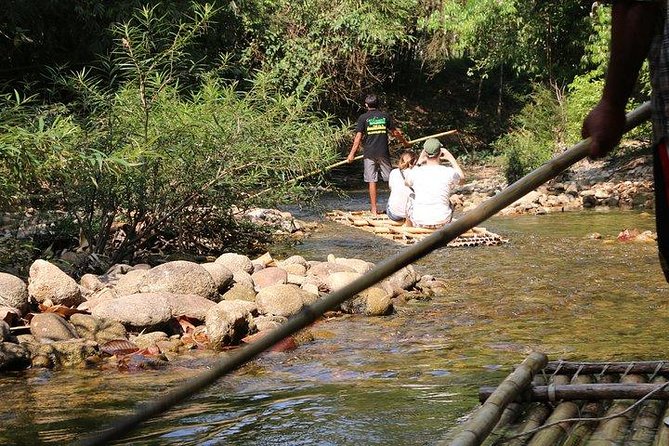 Khao Lak: Bamboo Rafting & Sea Turtle Conservation Center - Is $42.39 a fair price?