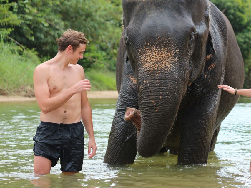 Khao Lak: Elephant Bathing and Turtle Center Visit - Key points at a glance