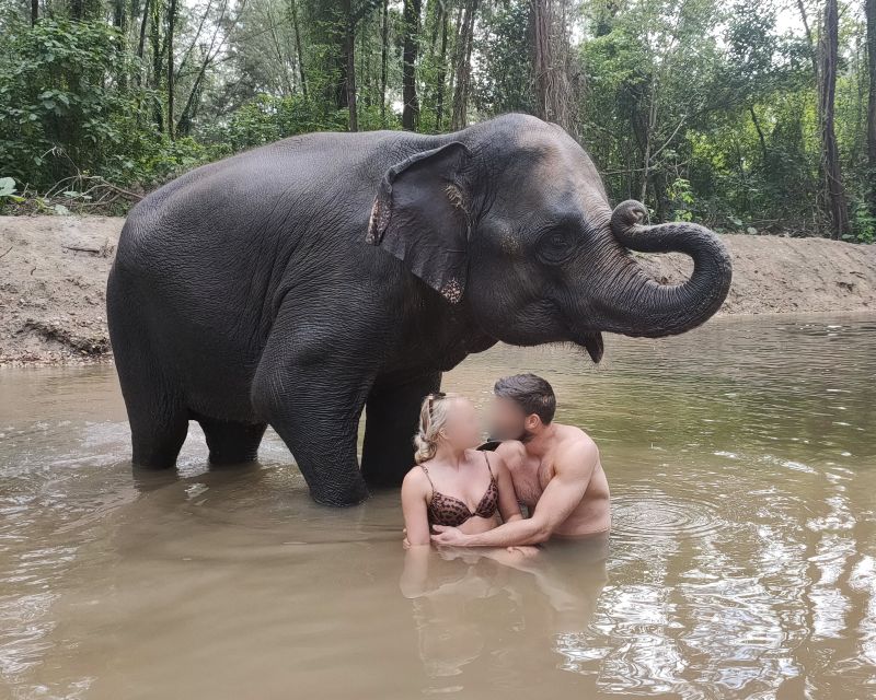 Khao Lak: Elephant Bathing and Turtle Center Visit - Walking to the shallow stream