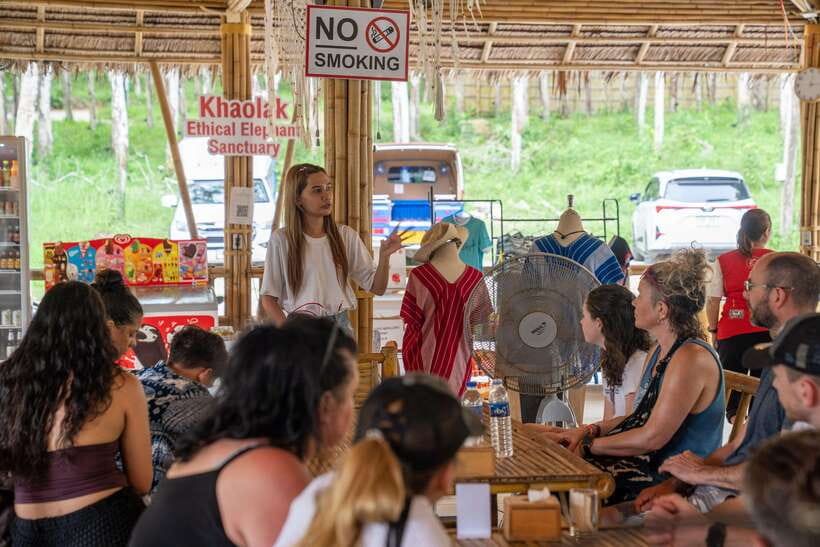 Khao Lak Guided Nature Walk & Elephant Experience - What the caretakers add to the visit