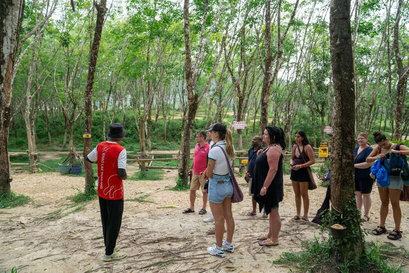 Khao Lak Guided Nature Walk & Elephant Experience - Getting there from Khao Lak or Phuket