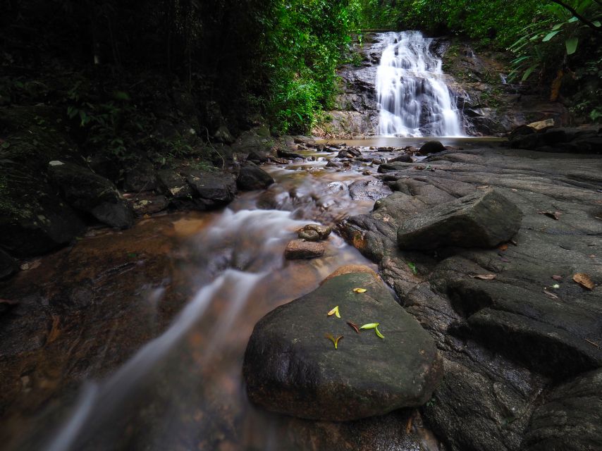 Khao Lak: Little Amazon Canoe Ride & Tam Nang Waterfall Tour - A compact jungle outing from Khao Lak