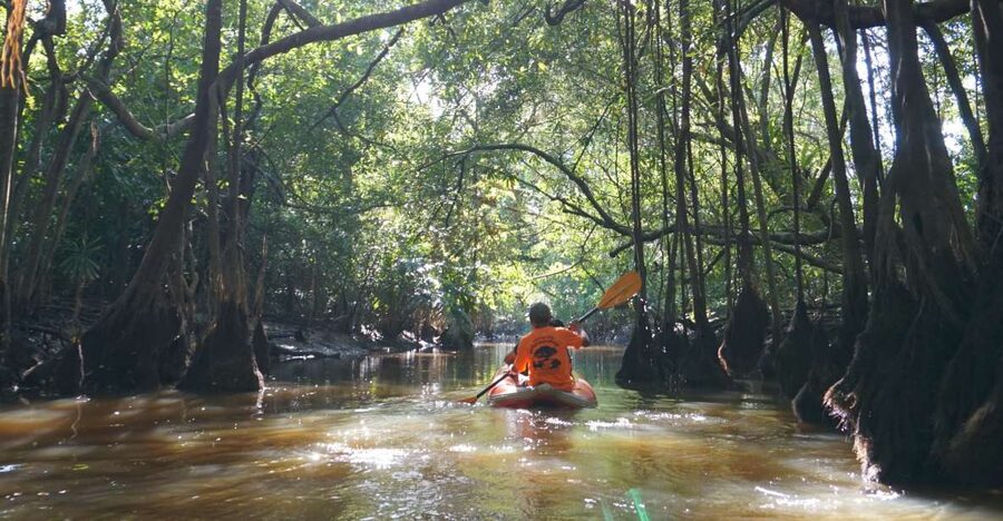 Khao Lak: Little Amazon Canoe Ride & Tam Nang Waterfall Tour - The 800-meter walk to Tam Nang Waterfall