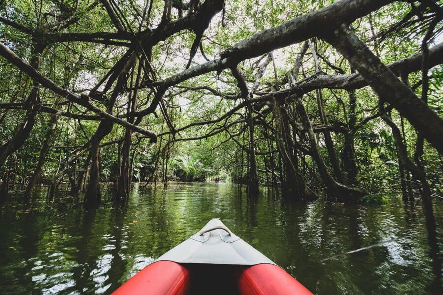 Khao Lak: Little Amazon Canoe Ride & Tam Nang Waterfall Tour - Rainy-season changes and Chong Fah Waterfall