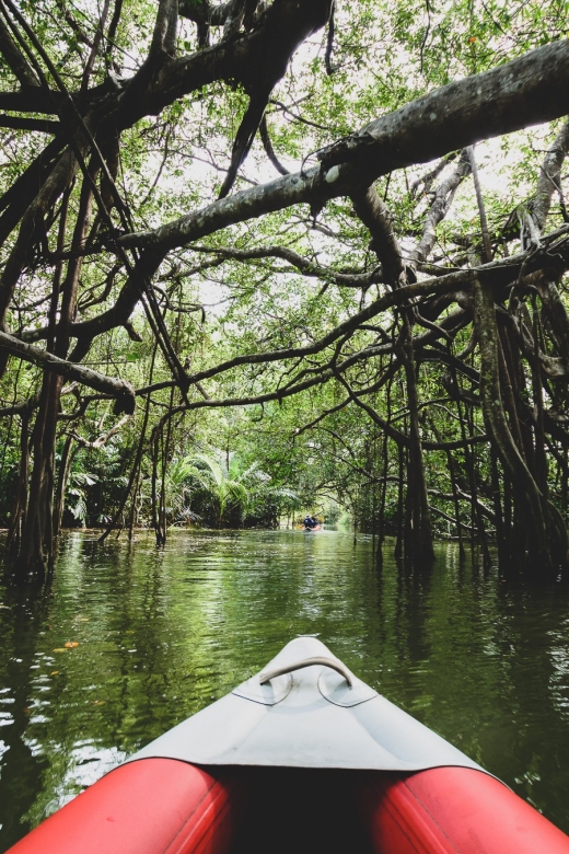 Khao Lak: Little Amazon Canoe Ride & Tam Nang Waterfall Tour - What the $61 price really covers