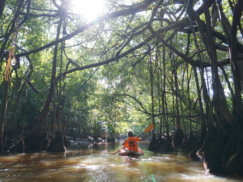 Khao Lak: Little Amazon Canoe Ride & Tam Nang Waterfall Tour - Who should book this tour?