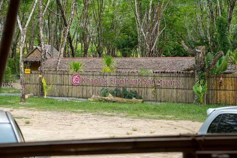 Khao Lak’s Best: Elephant Sanctuary,Rubber Tapping&Waterfall - Who will enjoy this experience most?