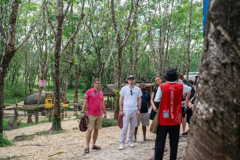 Khao Lak’s Best: Elephant Sanctuary,Rubber Tapping&Waterfall - Practical details that affect your day