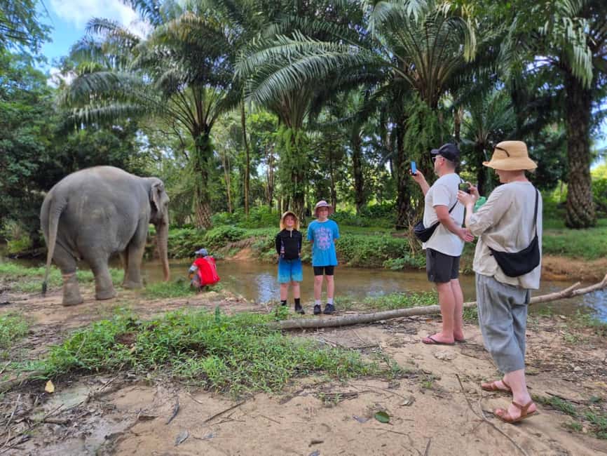 Khao Lak: Waterfall,Sea Turtle,Elephant Care,Meal & Transfer - Meeting the Elephants at Khao Lak Ethical Elephant Sanctuary