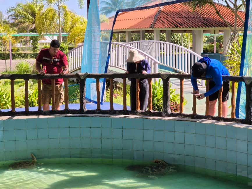 Khao Lak: Waterfall,Sea Turtle,Elephant Care,Meal & Transfer - Swimming at Sai Rung, the Rainbow Waterfall