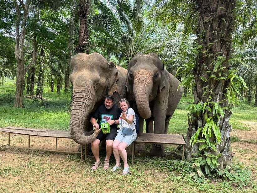 Khao Sok: Ethical Elephant Experience & Nature Walk - Walking through Khao Sok’s natural surroundings