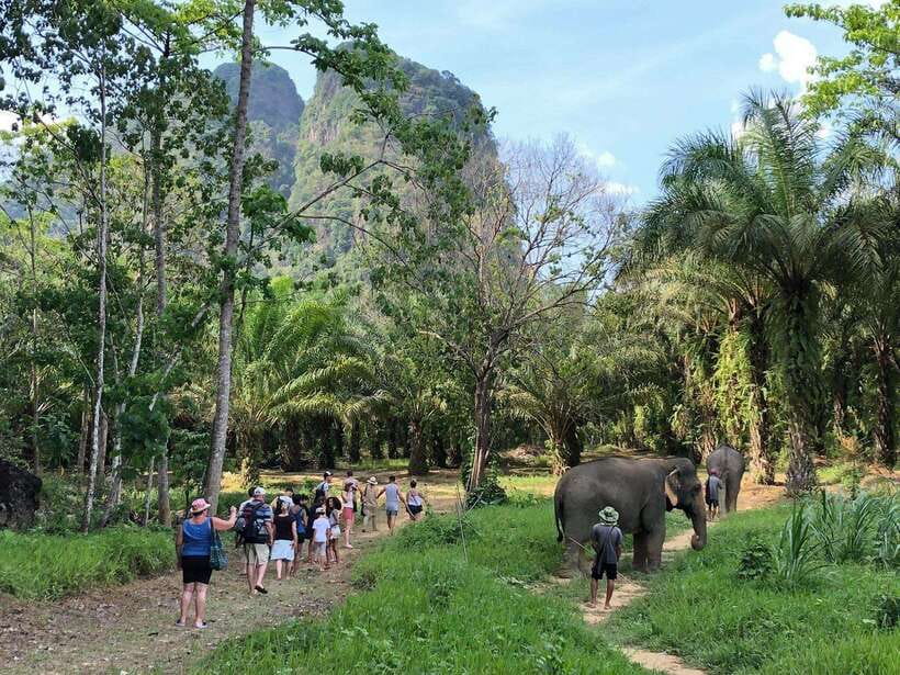 Khao Sok: Ethical Elephant Experience & Nature Walk - Is $41 good value for one hour?