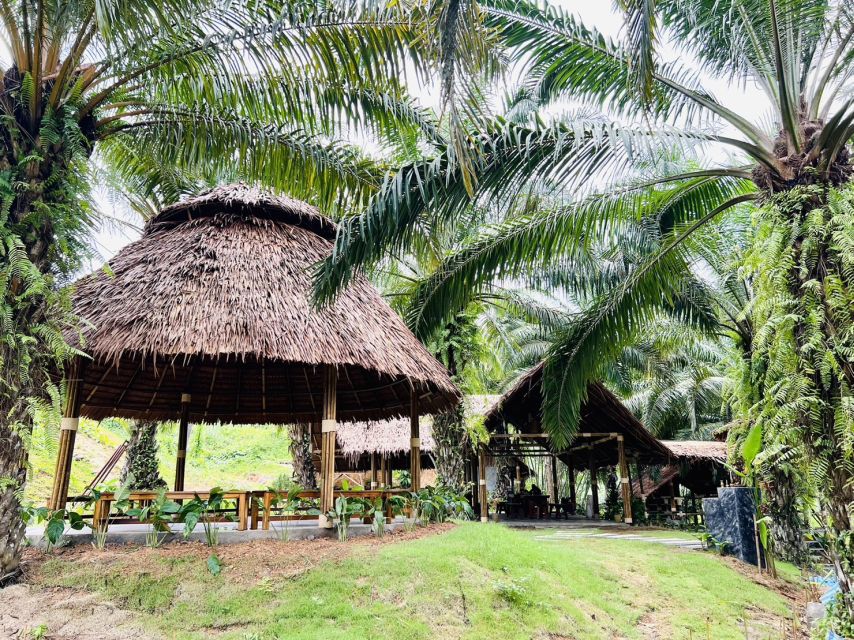 Khao Sok: Ethical Elephant Sanctuary Visit - Preparing elephant food from orchard and forest produce