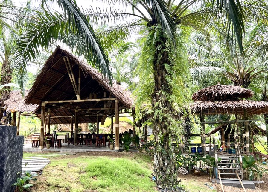 Khao Sok: Ethical Elephant Sanctuary Visit - Practical preparation for a comfortable visit