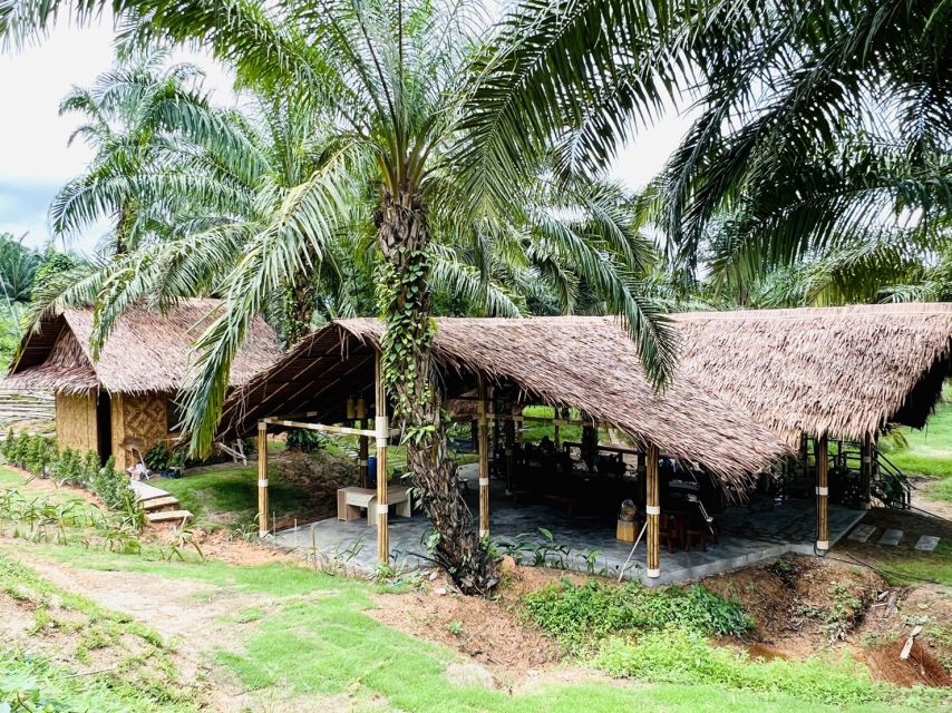 Khao Sok: Ethical Elephant Sanctuary Visit - How this fits into a Khao Sok trip