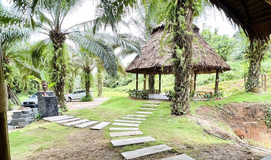 Khao Sok: Ethical Elephant Sanctuary Visit - Should you book the Khao Sok elephant visit?