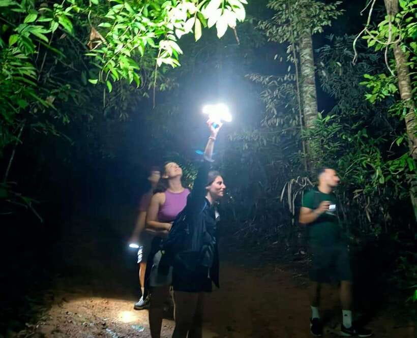 Khao Sok: Private Night Safari Adventure w/ Hotel Transfer - Who will enjoy this most