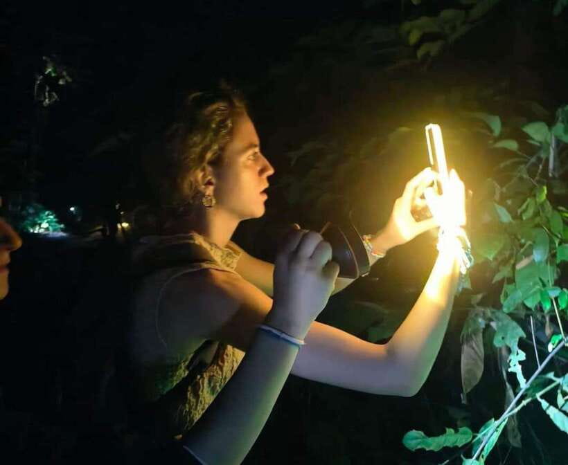 Khao Sok: Private Night Safari Adventure w/ Hotel Transfer - The two-hour hunt for nocturnal wildlife