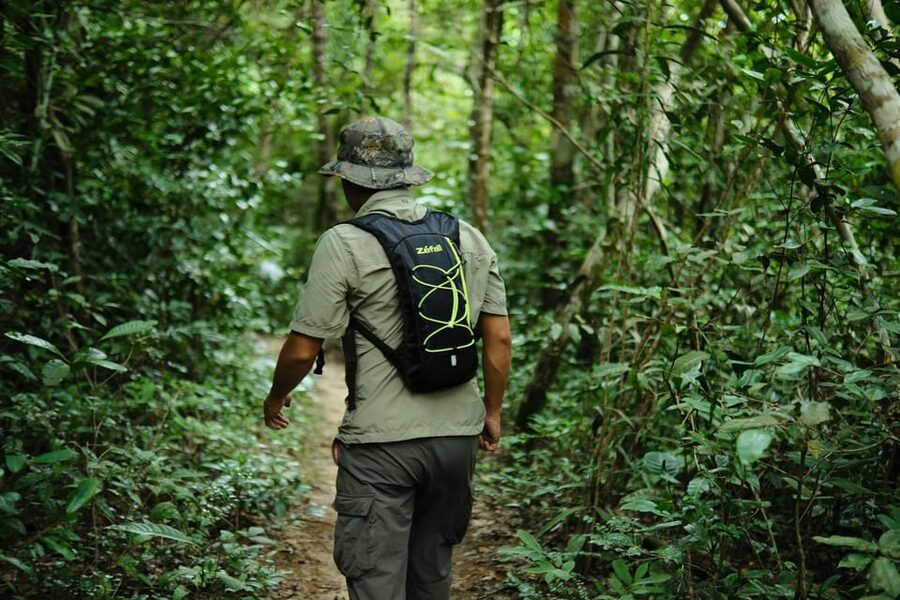 Khao Sok: Private Waterfalls and Wildlife Half-Day Trek - Should you book the waterfalls and wildlife trek?