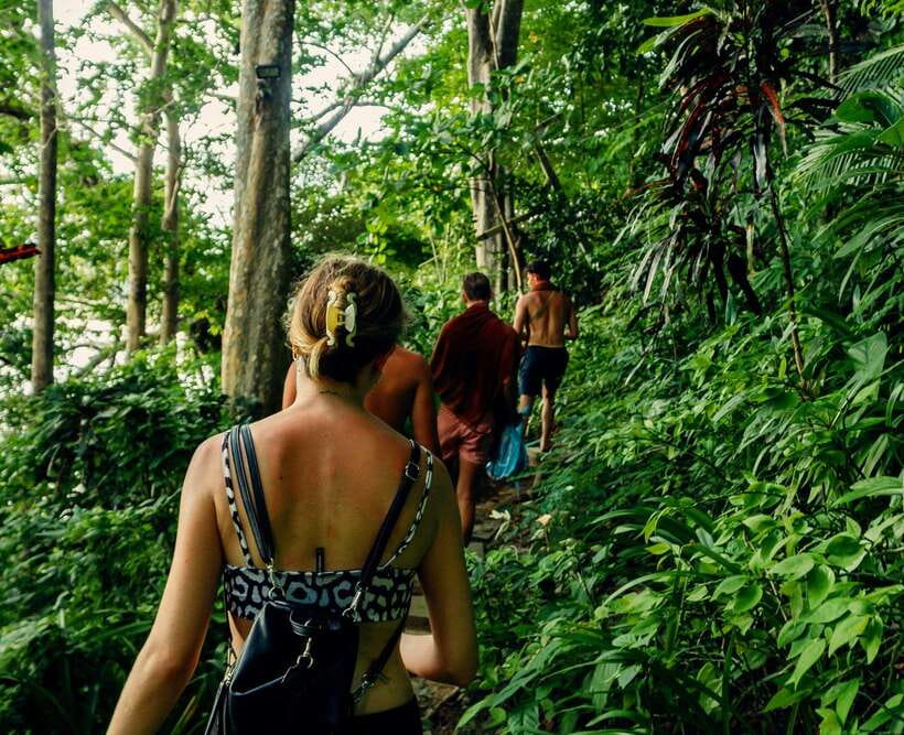 Khao Sok: Private Waterfalls and Wildlife Half-Day Trek - The trail: easy for some, more active for others