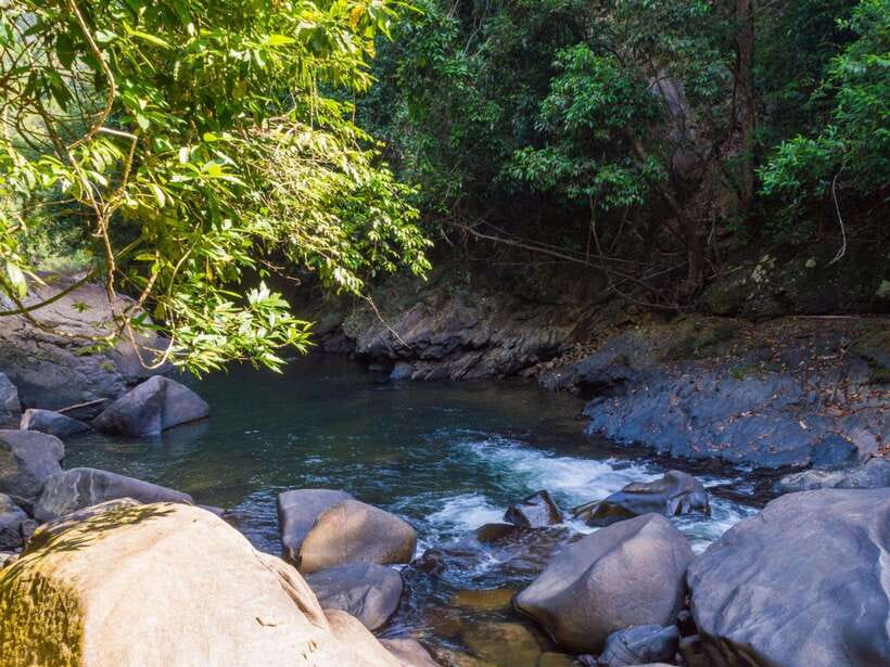 Khao Sok: Private Waterfalls and Wildlife Half-Day Trek - Bang Hua Raet and Wing Hin waterfalls