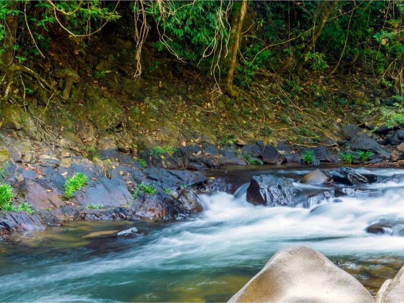 Khao Sok: Private Waterfalls and Wildlife Half-Day Trek - The guides are the heart of the outing