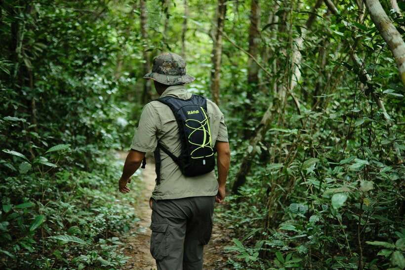 Khao Sok: Private Waterfalls and Wildlife Half-Day Trek - Practical tips for a better four hours
