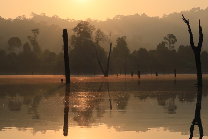 Khao Sok Wildlife 2 Days - One night in bamboo huts beside the jungle