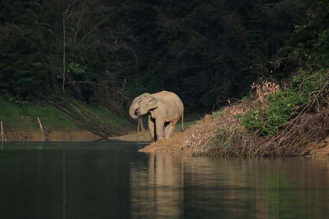 Khao Sok Wildlife 2 Days - What is included for $114
