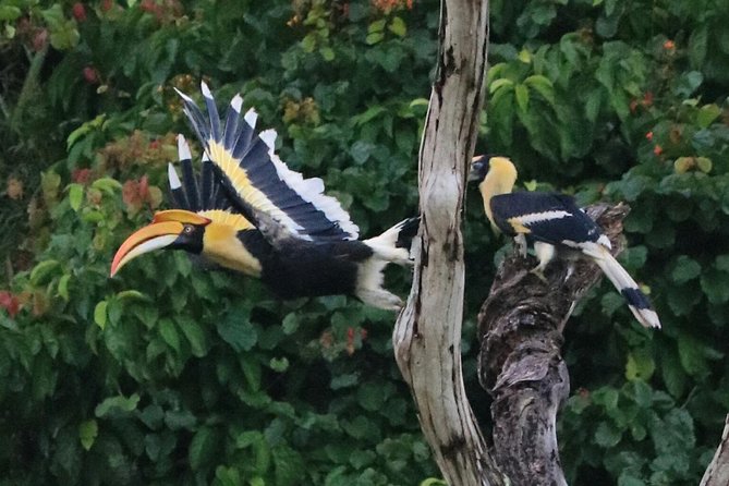 Khao Sok Wildlife 2 Days - The comfort question: who will enjoy this?