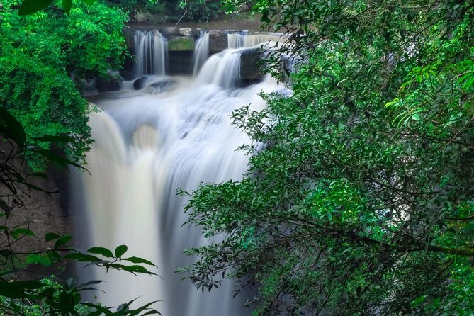 Khao Yai National Park Full-Day From Bangkok - Including Ticket - Walking Khao Yai’s forest trail