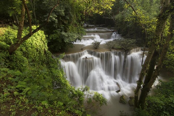 Khao Yai National Park Full-Day From Bangkok - Including Ticket - What wildlife you may actually see