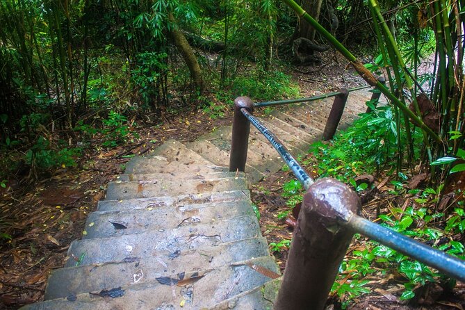 Khao Yai National Park Full-Day From Bangkok - Including Ticket - Lunch, water, and the small-group format