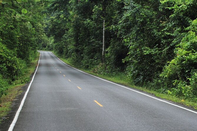 Khao Yai National Park Full-Day From Bangkok - Including Ticket - Who should book this day trip?