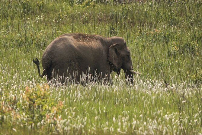 Khao Yai National Park Full-Day From Bangkok - Including Ticket - Haew Suwat and the famous waterfall view