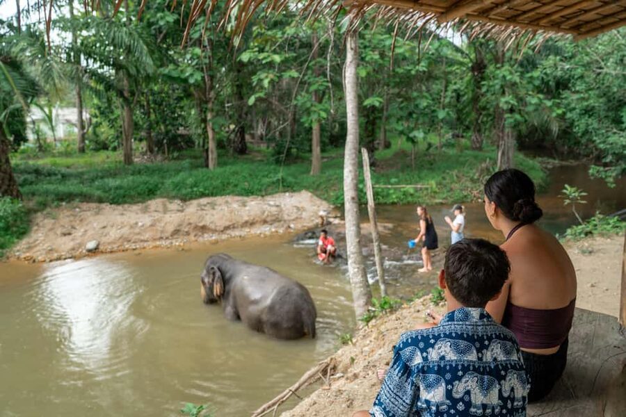 Khaolak: Elephant Sanctuary Guided Tour with Hotel Transfers - Key Points