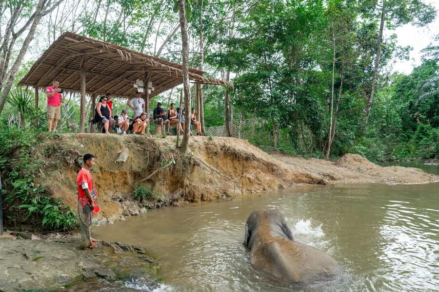 Khaolak: Elephant Sanctuary Guided Tour with Hotel Transfers - A Short Visit Built Around Elephant Choice