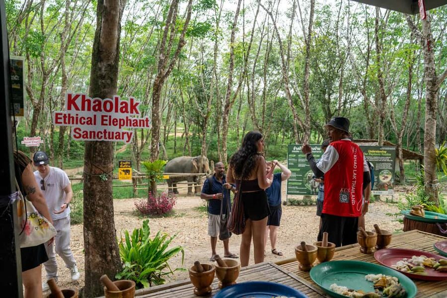 Khaolak: Elephant Sanctuary Guided Tour with Hotel Transfers - Preparing Elephant Food and Feeding Time