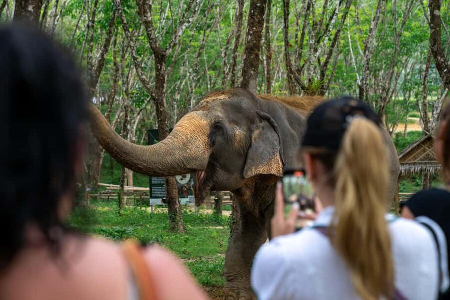 Khaolak: Elephant Sanctuary Guided Tour with Hotel Transfers - Walking Toward the Water
