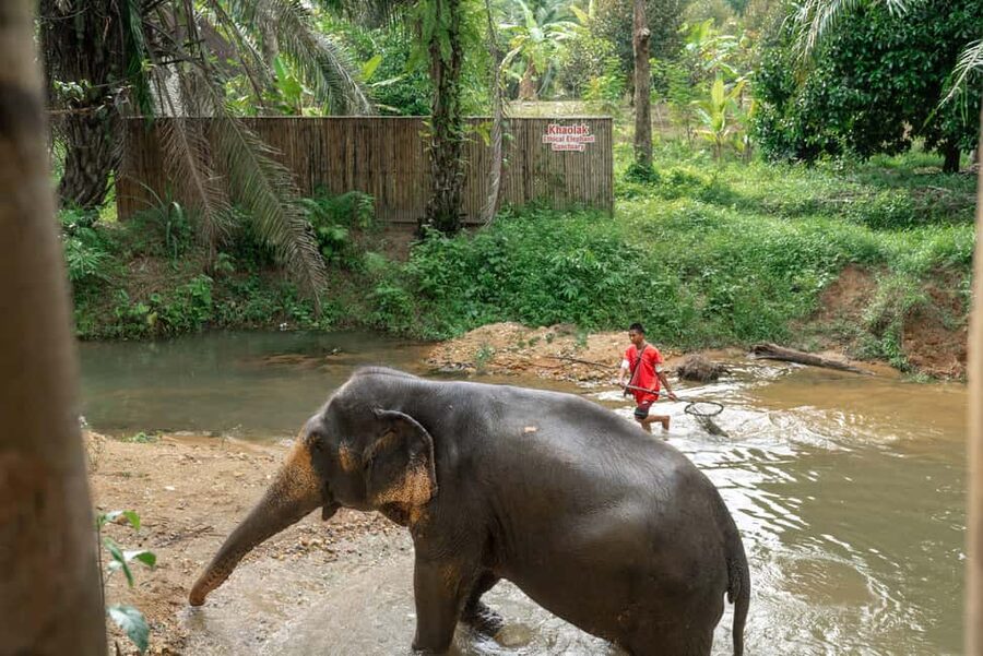 Khaolak: Elephant Sanctuary Guided Tour with Hotel Transfers - Guides Who Make the Difference