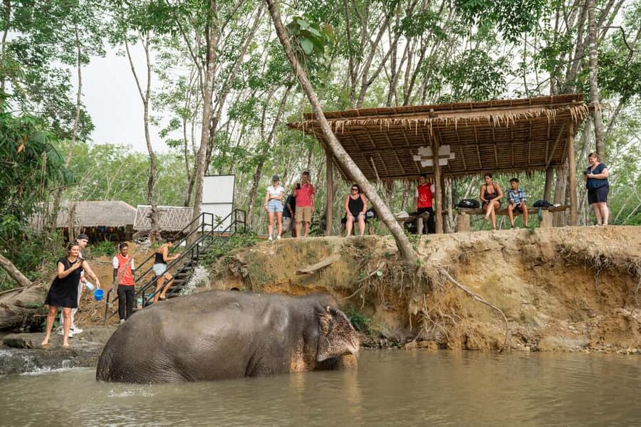 Khaolak: Elephant Sanctuary Guided Tour with Hotel Transfers - The welcome and safety briefing
