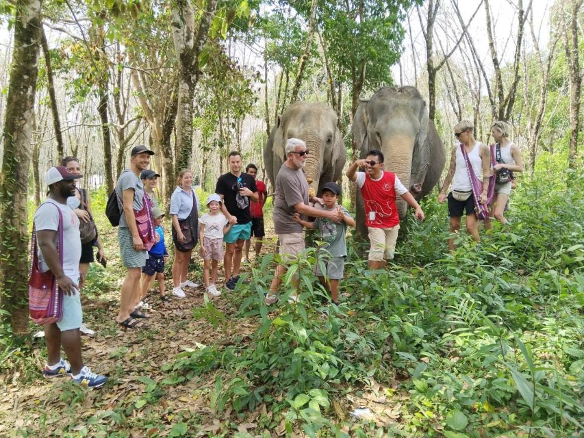 Khaolak: Sunset Elephant Walk with Complimentary Cocktail - What the $40 price really gives you