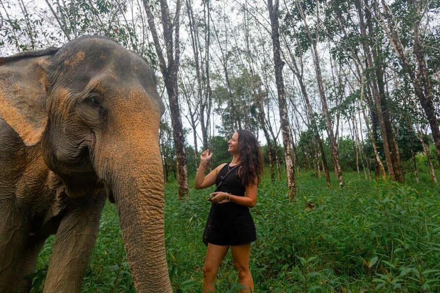 Khaolak: Sunset Elephant Walk with Complimentary Cocktail - Arrival at Khao Lak Ethical Elephant Sanctuary