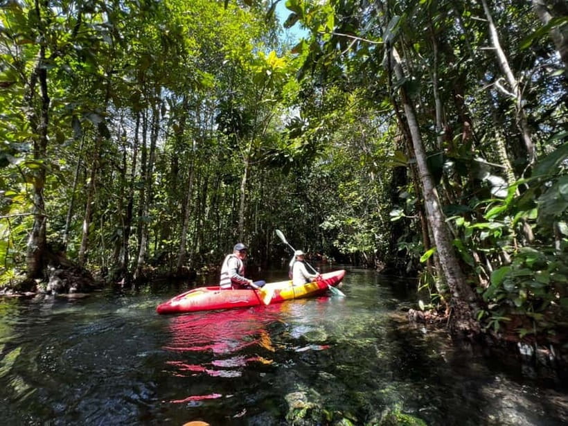 Klong Rud Kayaking with Hotel Transfer - Key points to know before you book