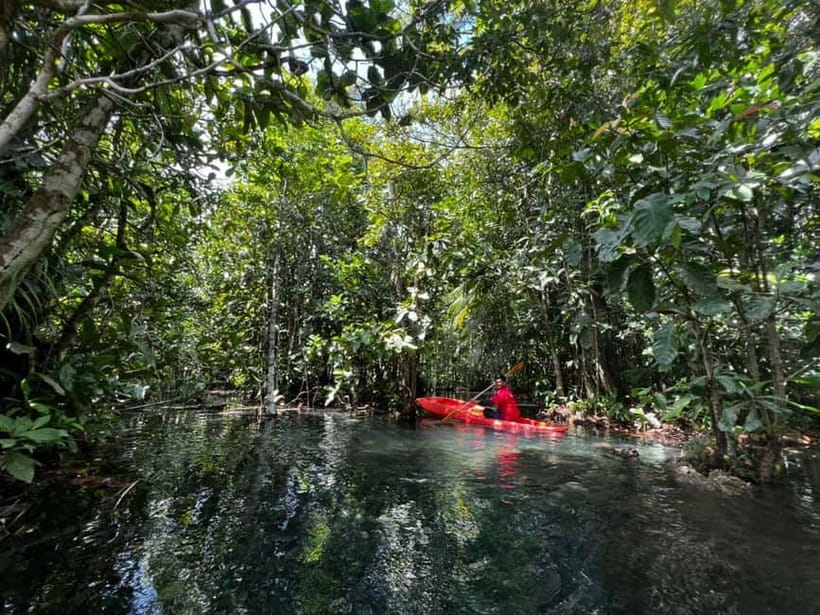 Klong Rud Kayaking with Hotel Transfer - Why Klong Nam Sai makes a good morning outing